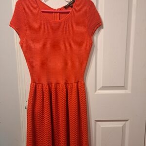 Cynthia Steffe Vibrant Orange Knit Top